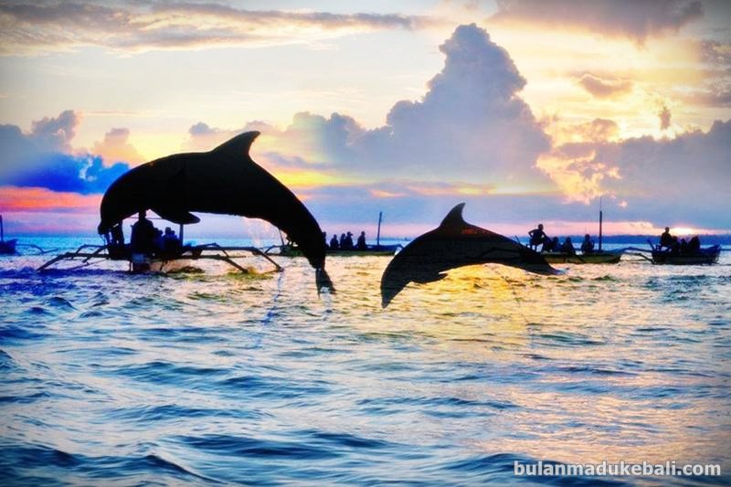 Paket Lovina Dolphin 2hari 1malam Bali